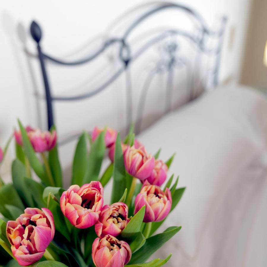 La Corte Dei Sogni B&B Modena Dış mekan fotoğraf